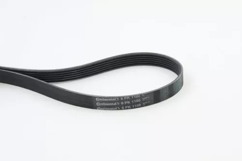 V-Rippen-Gürtel CONTINENTAL CTAM 6PK1100)