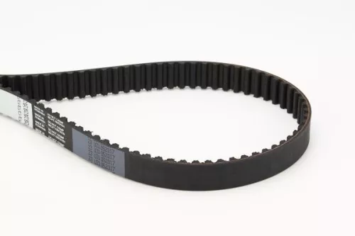 Timing Belt CONTINENTAL CTAM CT975)