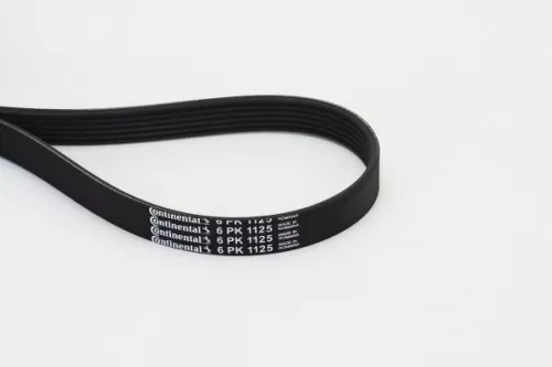 V-Rippen-Gürtel CONTINENTAL CTAM 6PK1125)