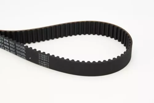 Timing Belt CONTINENTAL CTAM CT919)
