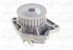 Water Pump, engine cooling GRAF PA676)