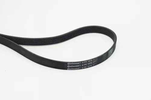 V-Rippen-Gürtel CONTINENTAL CTAM 6PK1670)