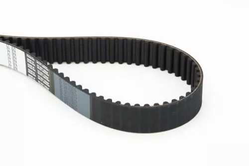 Timing Belt CONTINENTAL CTAM CT974)