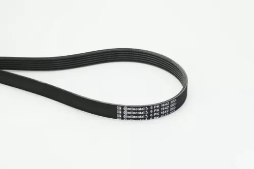 V-Rippen-Gürtel CONTINENTAL CTAM 6PK1642)