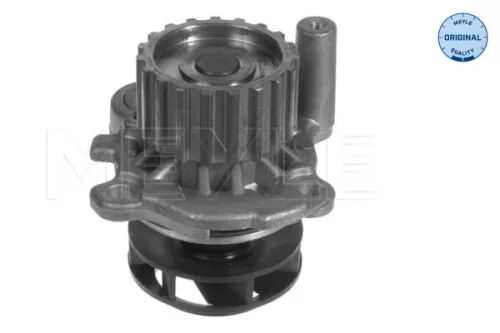 Water Pump, engine cooling MEYLE 113 012 0037)