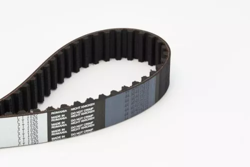 Timing Belt CONTINENTAL CTAM CT1092)