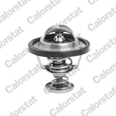 Thermostat, Kühlmittel CALORSTAT by Vernet TH6295.76J)