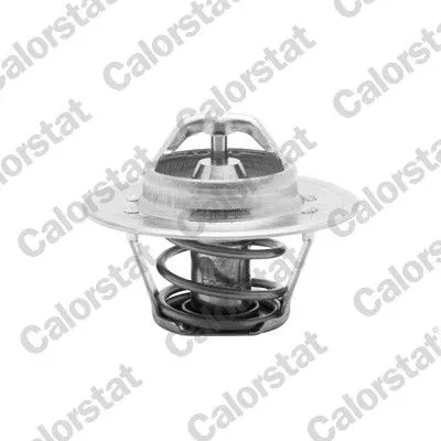 Thermostat, Kühlmittel CALORSTAT by Vernet TH5504.88J)