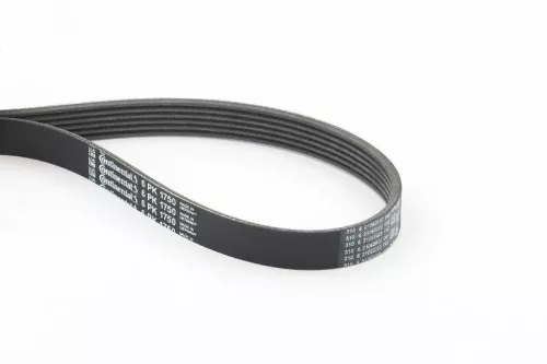 V-Rippen-Gürtel CONTINENTAL CTAM 6PK1750)