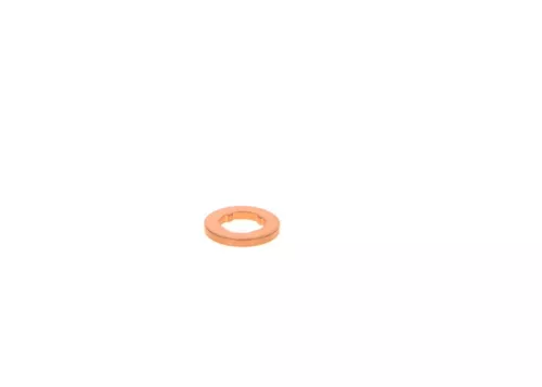 Dichtring, Einspritzwelle BOSCH F 00V P01 004)