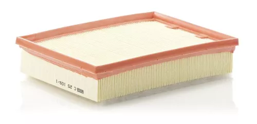 Luftfilter MANN-FILTER C 25 109/1)