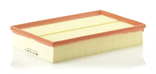 Luftfilter MANN-FILTER C 30 189)
