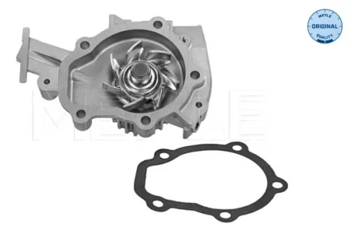 Water Pump, engine cooling MEYLE 29-13 220 0000)