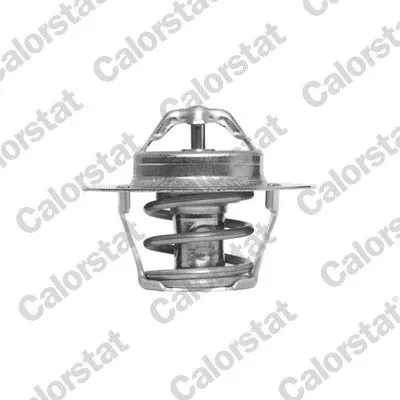 Thermostat, Kühlmittel CALORSTAT by Vernet TH6318.89J)