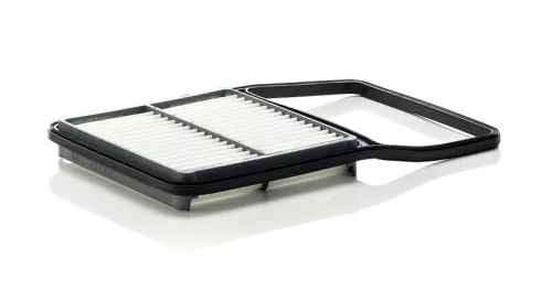Luftfilter MANN-FILTER C 29 002)