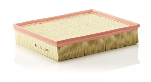 Luftfilter MANN-FILTER C 30 198)