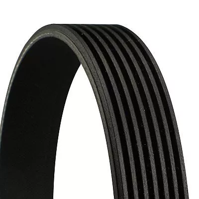 V-Rippen-Gürtel CONTINENTAL CTAM 7PK1325)
