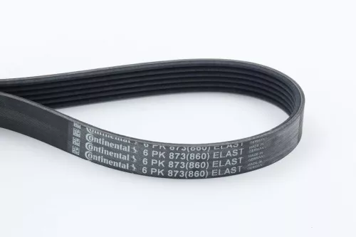 V-Rippen-Gürtel CONTINENTAL CTAM 6PK873 ELAST)