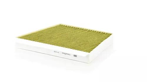 Kabinenluftfilter MANN-FILTER FP 3172)