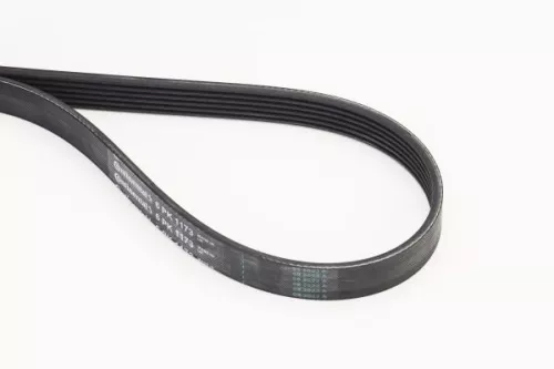 V-Rippen-Gürtel CONTINENTAL CTAM 6PK1173)