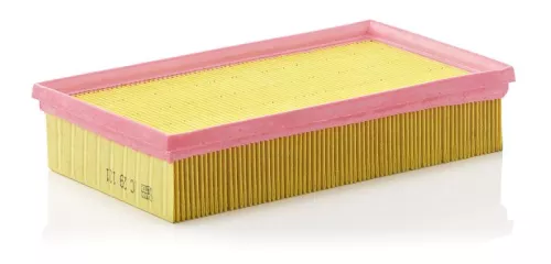 Luftfilter MANN-FILTER C 29 121)