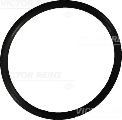 Seal Ring VICTOR REINZ 40-76022-10)