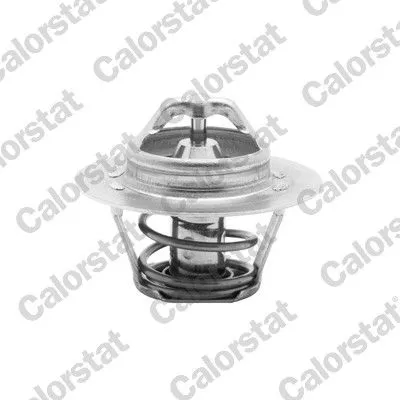Thermostat, Kühlmittel CALORSTAT by Vernet TH5955.88J)
