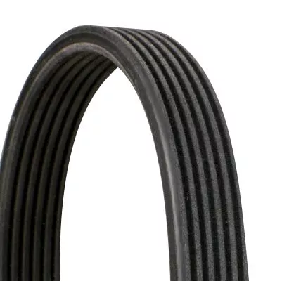 V-Rippen-Gürtel CONTINENTAL CTAM 6DPK1841)