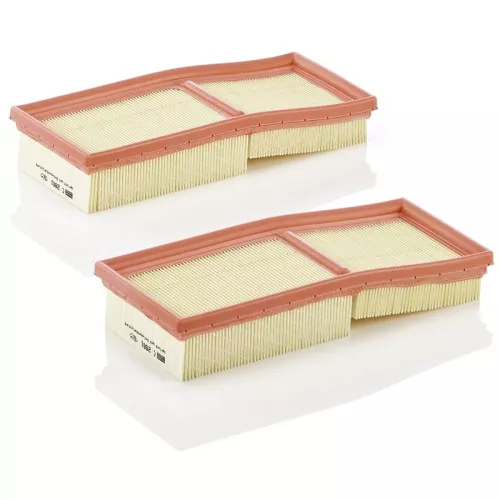 Luftfilter MANN-FILTER C 2861-2)