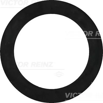 Seal Ring VICTOR REINZ 40-77322-00)