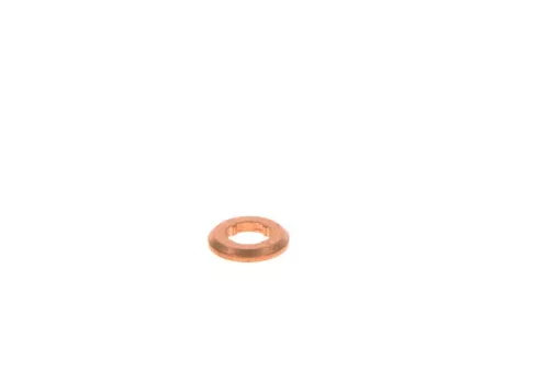 Dichtring, Einspritzwelle BOSCH F 00V P01 009)
