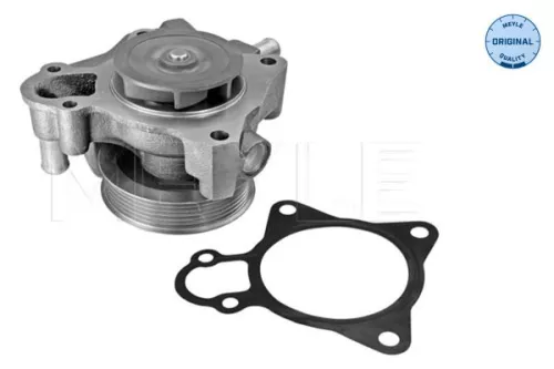 Wasserpumpe, Motorkühlung MEYLE 11-13 220 0024)