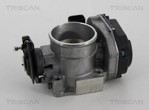 Drosselklappengehäuse TRISCAN 8820 29018)