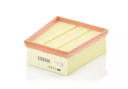 Luftfilter MANN-FILTER C 22 026)