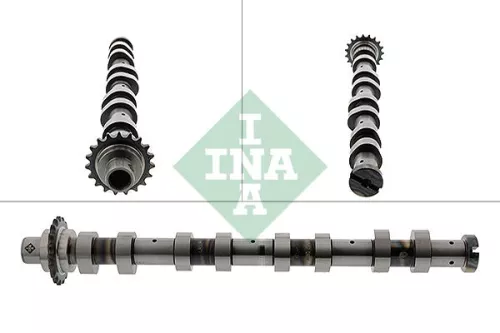 Nockenwelle Schaeffler INA 428 0120 10)
