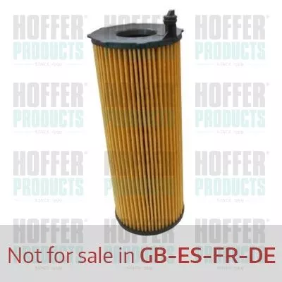 Ölfilter HANS WG1746658)