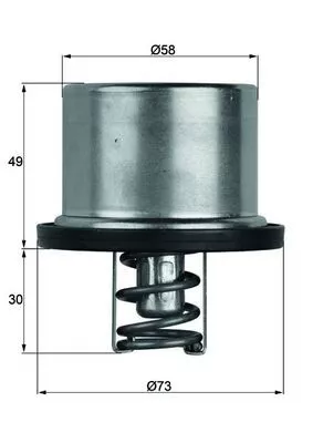 Thermostat, Kühlmittel MAHLE TX 37 79)