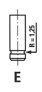 Einlassventil FRECCIA R4464/SCR)