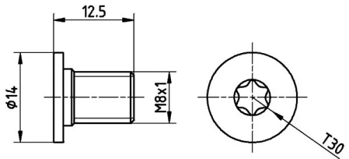Schraube, Bremsscheibe TEXTAR TPM0002)