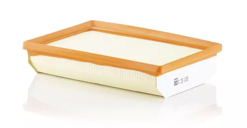 Luftfilter MANN-FILTER C 25 033)