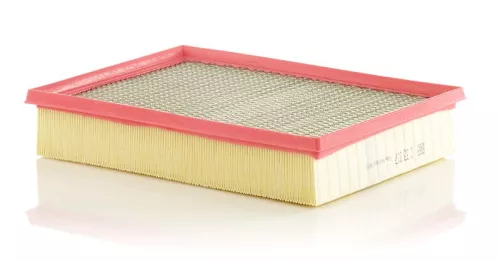 Luftfilter MANN-FILTER C 33 017)