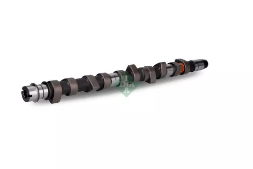 Nockenwelle Schaeffler INA 428 0079 10)