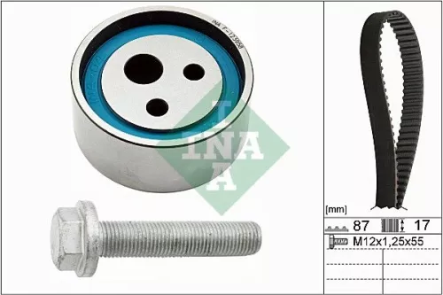 Timing Belt Kit Schaeffler INA 530 0182 10)