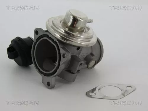 AGR-Ventil TRISCAN 8813 29057)