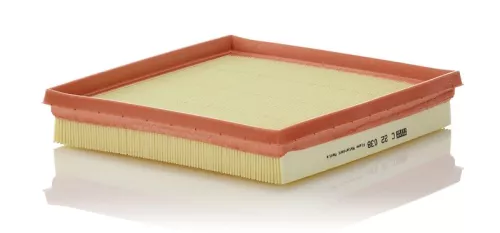 Luftfilter MANN-FILTER C 22 038)