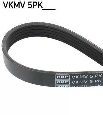 V-Rippen-Gürtel SKF VKMV 5PK1432)