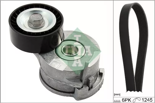Keilrippenriemen-Set Schaeffler INA 529 0291 10)