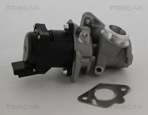 AGR-Ventil TRISCAN 8813 10010)