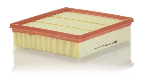 Luftfilter MANN-FILTER C 22 039)