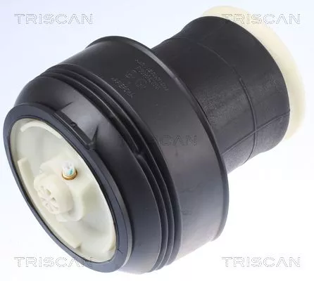 Air Spring, suspension TRISCAN 8720 11203)